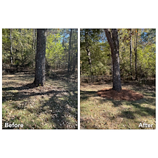 Pine-Straw-Installation-Oxford-MS 2